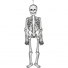 Skelett i vit kartong Höjd 120 cm Halloweenpyssel Höstpyssel