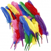Fjädrar Mixade Färger 20 cm 36 st till påsk och påskris eller drömfångare