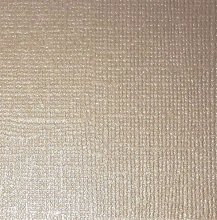 Cardstock Reprint - Canvas - Pearl Champagne