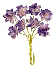Pappersblommor Chrysanthemum 20 mm Violet 8 st Pappersrosor
