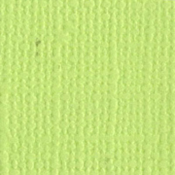 Cardstock Bazzill Canvas Limeade 12"x12"