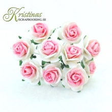 Pappersblommor pappersrosor Rose 15 mm White / Cerise