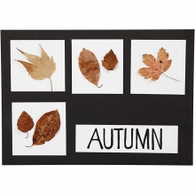 Kartong A2+A3+A4 200+250 g 600 ark till scrapbooking, pyssel och hobby