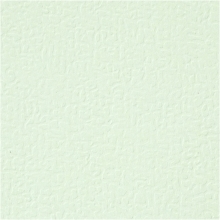 Strukturpapper A4 10-Pack Mint 220g Strukturkartong 220-250 gr