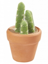Miniatyr - Kaktus i Kruka - 5,5 cm