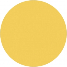 Akrylfärg BIG PLUS Color 250 ml Crocus Yellow Hobbyfärg