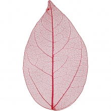 Torkade Blad Röd 6-8 cm 20 st Löv Pyssel
