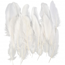 Vita Gåsfjädrar 15 cm - 70 st - White Vintage