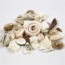 Strandsnäckor med hål Mått: 9-40 mm 120 gram Pärlor