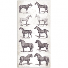 Paper Pack Stamperia Romantic Horses 6x12 Tum