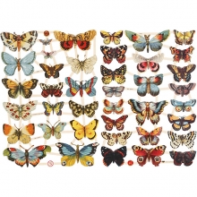Bokmärken - Fjärilar - 16,5x23,5 cm - 2 ark