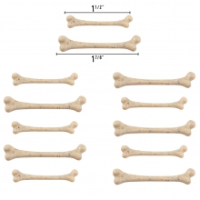 Halloween Polyresin dekorationer - Tim Holtz - Boneyard