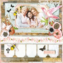 Combo Stickers 12"x12" BoBunny Butterfly Kisses Scrapbooking Papper