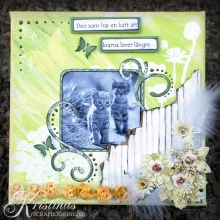 Canvas Målarduk 15x15 cm Djup 1,7 10 st Storpack