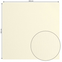 Cardstock Florence Canvas Raffia 12