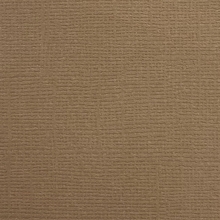 Cardstock - Canvas - Gingerbread