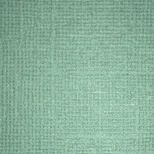 Cardstock - Canvas - Laurel Leaf