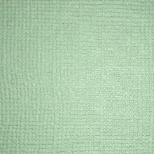 Cardstock - Canvas - Sage