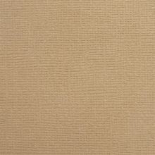 Cardstock - Canvas - Latte
