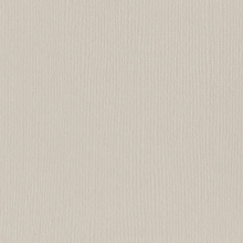 Cardstock Bazzill - Canvas - Twig