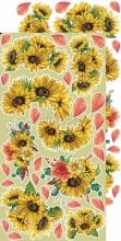Paper Pack Extra Set - Craft O Clock - Autumn Beauty Flowers
