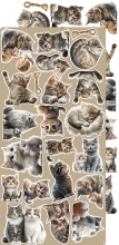 Paper Pack Set Cats - Craft O Clock - Klippark Katter