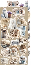Paper Pack Set Cats - Craft O Clock - Klippark Katter