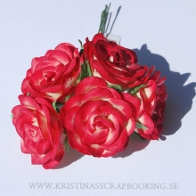 Pappersrosor Swan XL 40mm Cerise/Creme 5 st