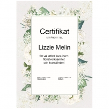 Diplom Certifikat A4 Bianco 25 ark 170 g Mönstrade Papper