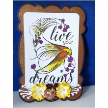 Clear Stamps Coosa Crafts Live Dream Clearstamps Silkonstämpel