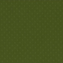 Bazzill Dotted Swiss Cardstock Clover Leaf Trio 12"x12"