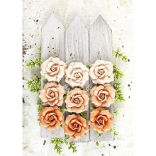 Pappersblommor pappersrosor Prima London Crown