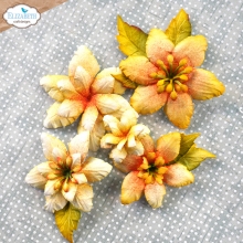 Dies Elizabeth Craft Designs - Florals 20 - 6 dies