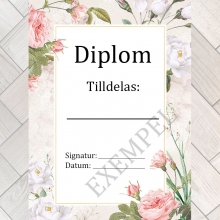 Diplom Certifikat - 20 ark A4 - Bella Rose - 170 g