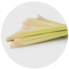 Doftolja Myggljus Citronella Mosquito För Tvål och Ljus