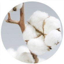 Doftolja Clean Cotton Freshness För Tvål och Ljus