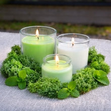 Doftolja 100 ml - Garden Mint Candy - För Tvål och Ljus