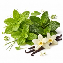 Doftolja 100 ml - Garden Mint Candy - För Tvål och Ljus