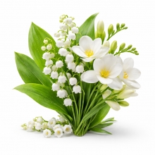 Doftolja 100 ml - Liljekonvalj - För Tvål och Ljus