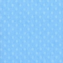 Bazzill Dotted Swiss Cardstock Neptune Trio Poolside 12"x12"
