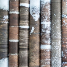 Paper Pad 6x6 - Craft Consortium - Frosted Wood