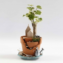 Fairy Garden - Trädgård i Miniatyr Av Krukor