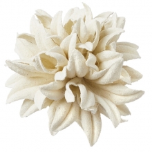 Florella Mullberry Flowers - Creme - 35 mm - 2 st