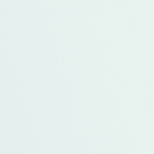 Cardstock Florence Canvas Air 12