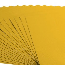 Cardstock Florence Canvas Bee