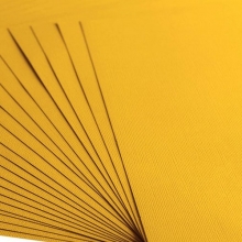 Cardstock Florence Canvas Honey