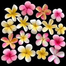 Flower Shaping Set - Marianne Design - Flower Mould Kit