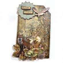 Paper Pad Stamperia - Forest - 12x12 Tum