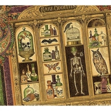 Paper Pad 8”x8” Graphic45 Rare Oddities Graphic 45