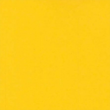 Cardstock Canary Yellow Florence 12"x12"